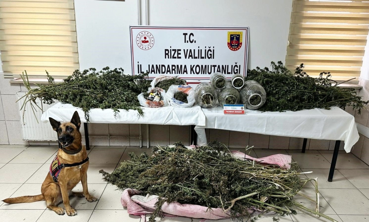 RİZE İL JANDARMA KOMUTANLIĞINDAN BAŞARILI OPERASYONLAR 